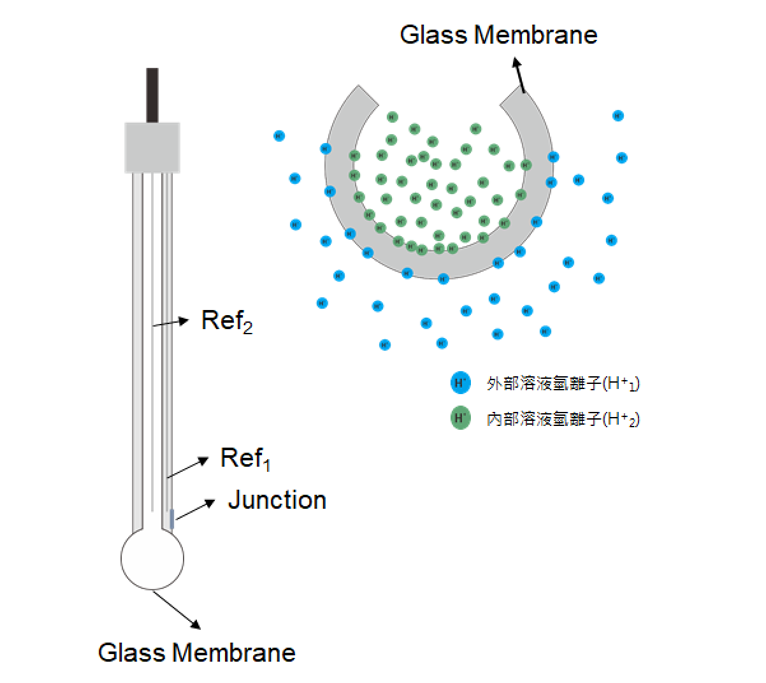 Nernst equation - pH electrode working principle, potential difference generated by ion exchange inside and outside the glass membrane/calibration-free disposable micro pH electrode/Humming Probe - UltraE