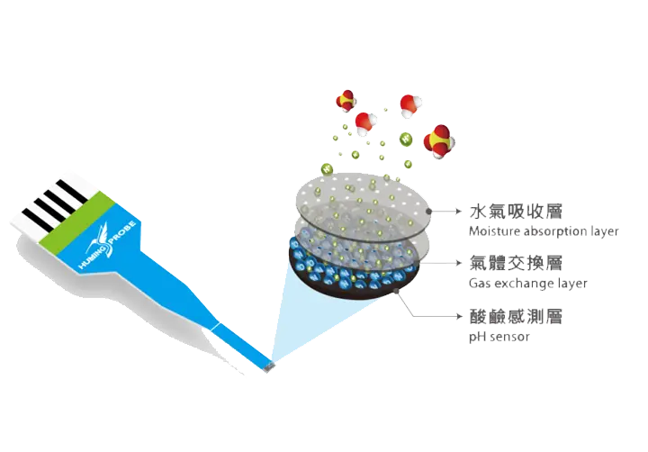 專利氫離子吸附膜設計|超極生技UltraE