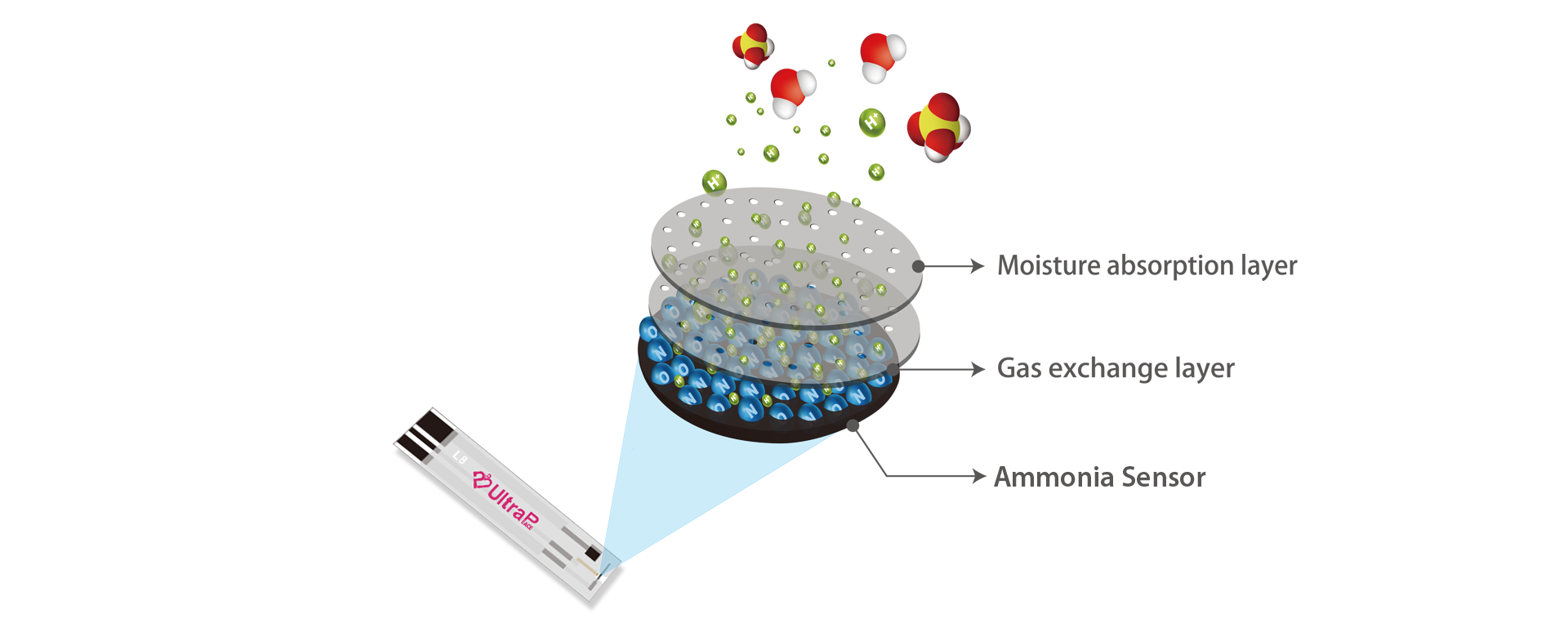 Structure display of patented test strips of UltraPeace H. pylori urea breath test system - UltraE