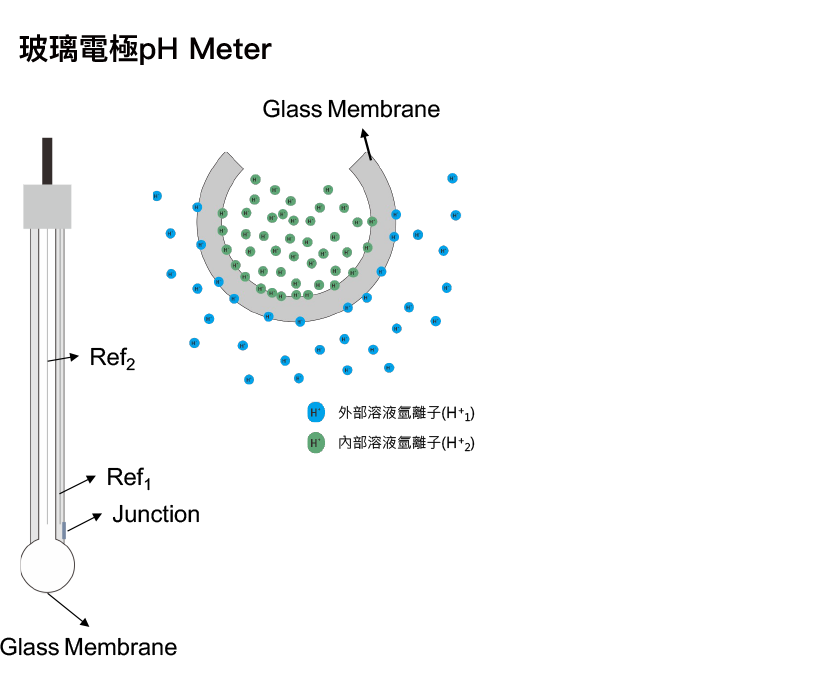 pH電極工作原理玻璃膜內外離子交換產生的電位差/免校正拋棄式微量pH電極/蜂鳥探針-超極生技UltraE